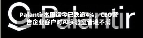 Palantir本周迄今已跌逾4%,CEO警告企业客户对AI实验室普遍不满