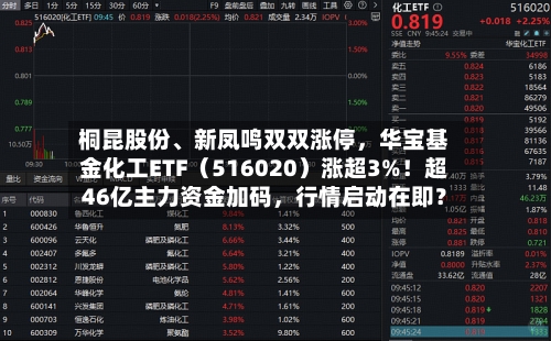 桐昆股份、新凤鸣双双涨停，华宝基金化工ETF（516020）涨超3%！超46亿主力资金加码	，行情启动在即？-第2张图片