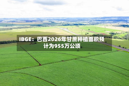 IBGE:巴西2026年甘蔗种植面积预计为955万公顷