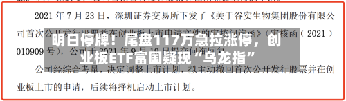 明日停牌！尾盘117万急拉涨停	，创业板ETF富国疑现“乌龙指”-第2张图片